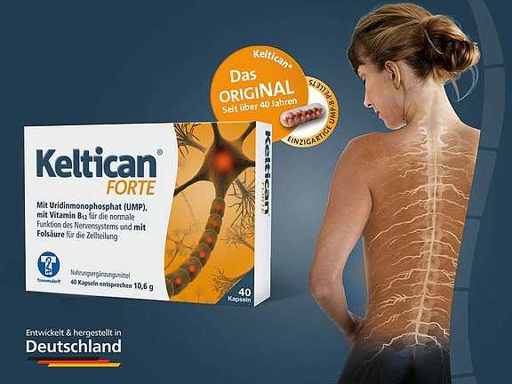 Abbildung einer Keltican Forte-Produktverpackung mit der stilisierten Darstellung eines Neurons. Rechts ist eine Seitenansicht einer Frau mit hervorgehobener Wirbelsäule zu sehen. Deutscher Text und Produktdetails sind enthalten. Der Hintergrund ist in Blautönen gehalten.