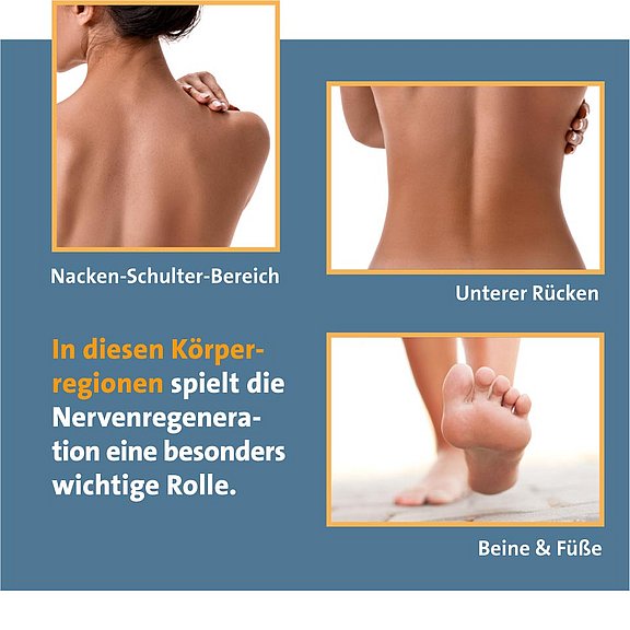 Drei Bilder zeigen Körperteile: eine Person, die ihren Nacken und ihre Schulter berührt, den unteren Rücken und Füße auf Zehenspitzen. Der deutsche Text hebt die Bedeutung der Nervenregeneration in diesen Körperbereichen hervor: „Nacken-Schulter-Bereich“, „Unterer Rücken“, „Beine & Füße“.